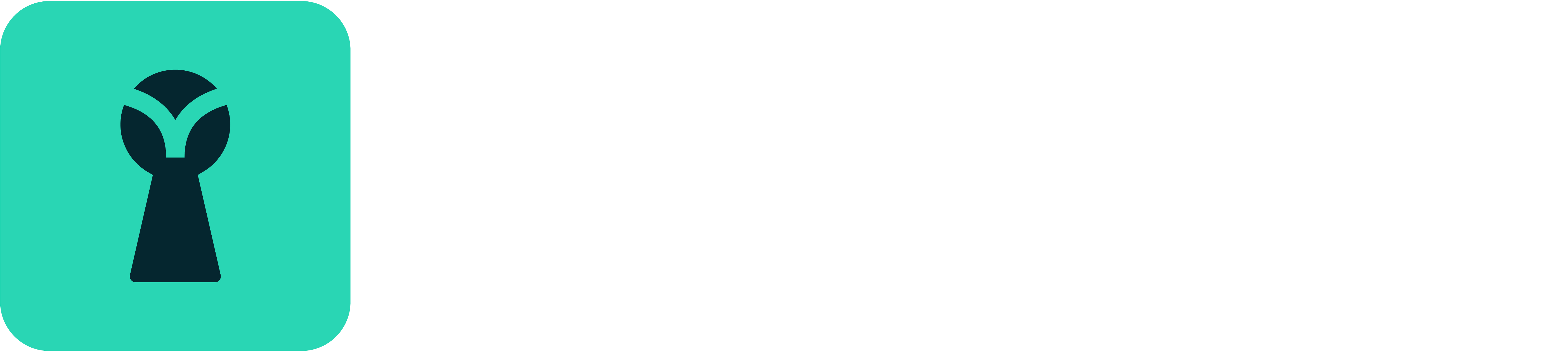 HintSuite Logotype